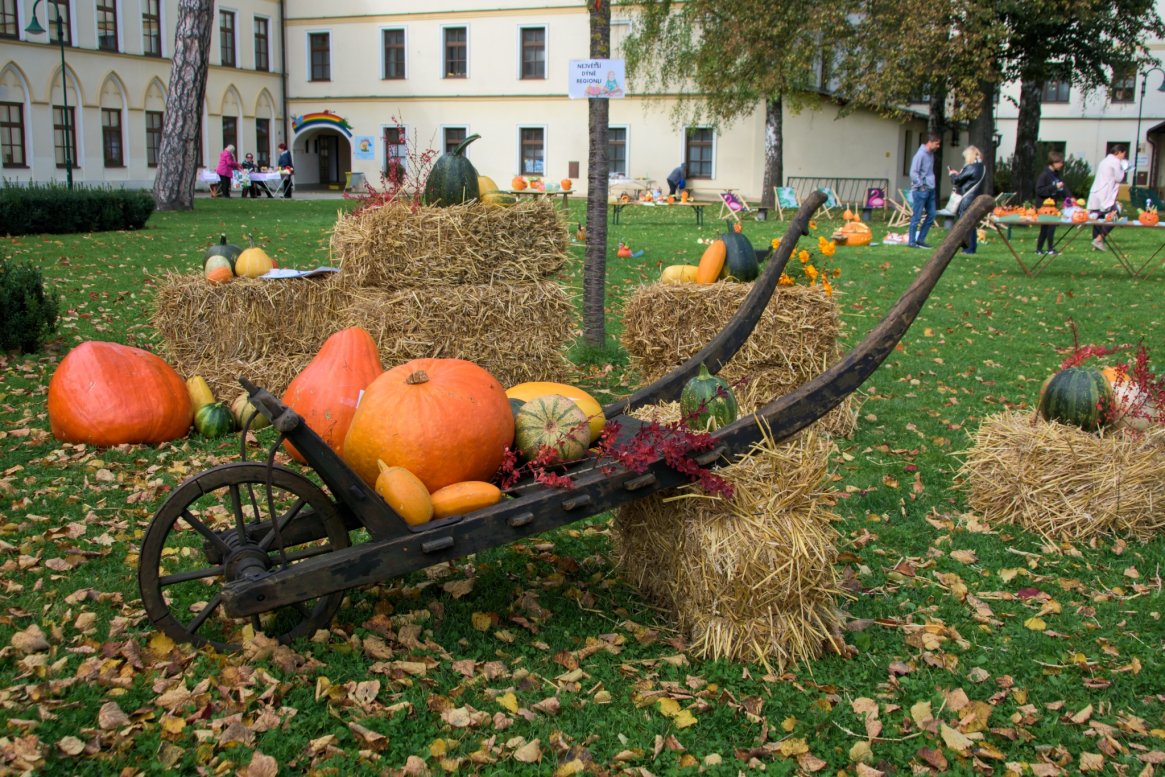 Hrajeme na dýňových slavnostech